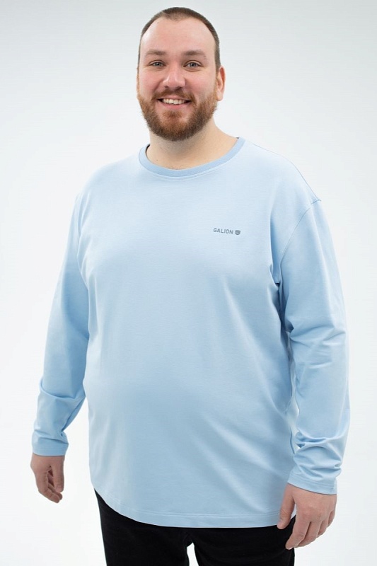 Лонгслив мужской мужская большого размера с длинными рукавами, арт 40419/8 