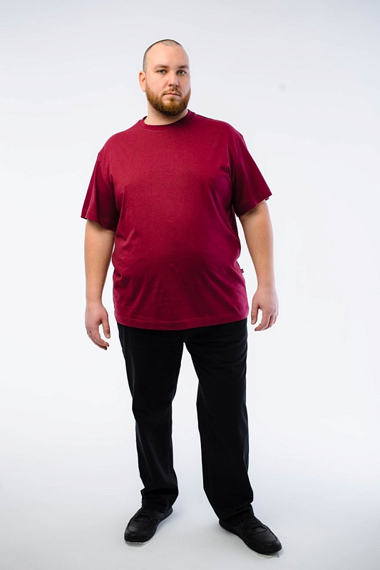 Футболка мужская мужская борльшого размера, арт 4070/6