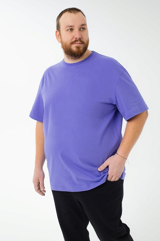 Футболка мужская мужская больших размеров, арт 4070/34 