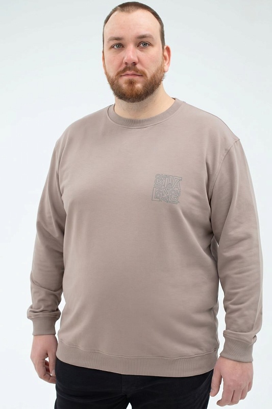 Толстовка мужская