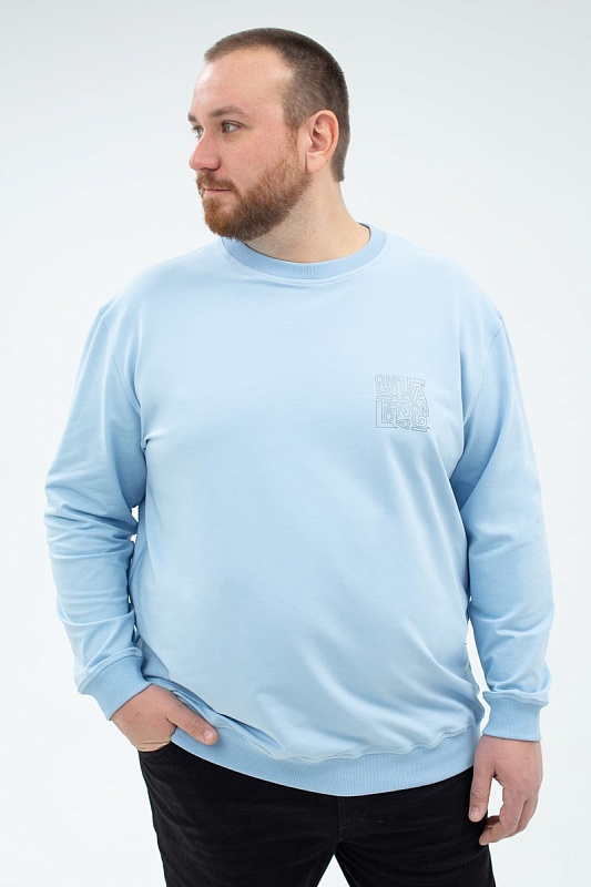 Толстовка мужская