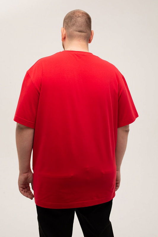 Футболка мужская мужская больших размеров, арт 4080/15/59 