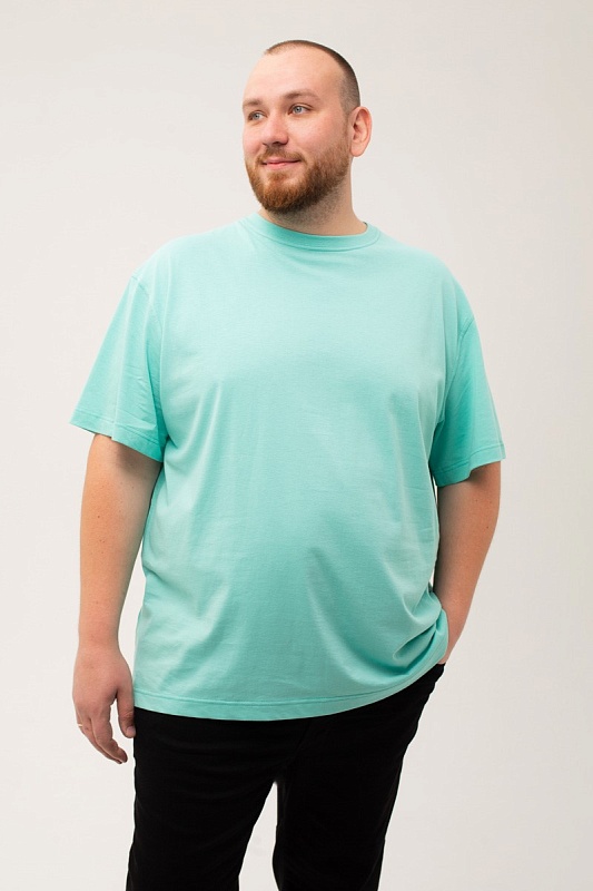 Футболка мужская мужская больших размеров, арт 4070/28 
