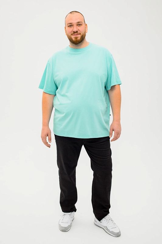 Футболка мужская мужская больших размеров, арт 4070/28 