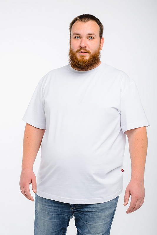 Футболка мужская мужская борльшого размера, арт 4070/14