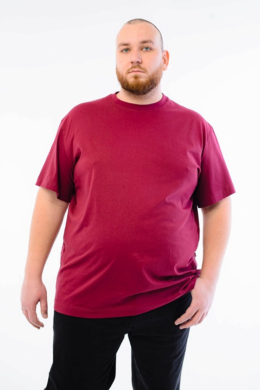 Футболка мужская мужская борльшого размера, арт 4070/6